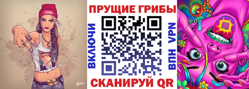 кракен ТОР  Жуковка  Галлюциногенные грибы Psilocybine cubensis 